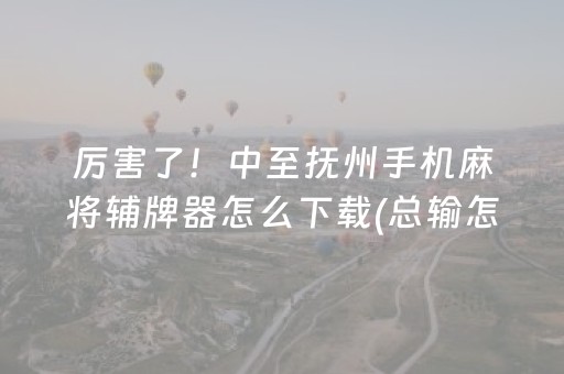 厉害了！中至抚州手机麻将辅牌器怎么下载(总输怎么回事)
