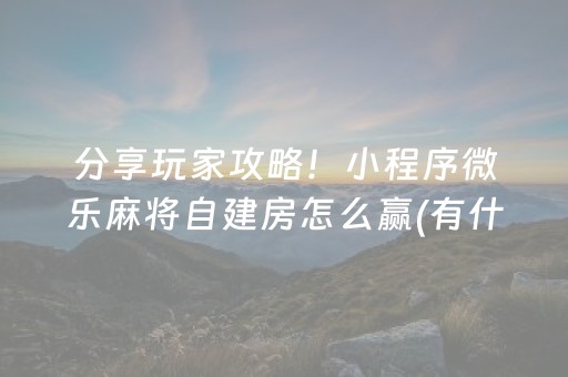 终于发现“最新程序麻将机一体机（专用辅牌神器免安装）
