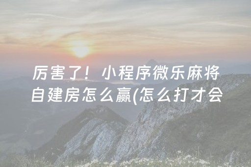 厉害了！小程序微乐麻将自建房怎么赢(怎么打才会赢)
