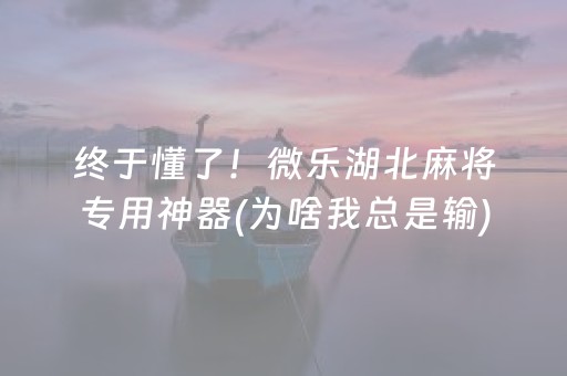 终于懂了！微乐湖北麻将专用神器(为啥我总是输)
