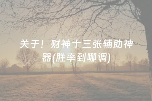 关于！财神十三张辅助神器(胜率到哪调)