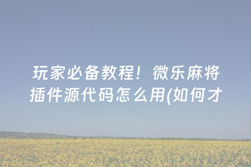 玩家必备教程！微乐麻将插件源代码怎么用(如何才能赢)