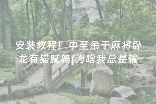 终于发现了“微乐手机麻将一直输的原因”（详细透视教程）-哔哩哔哩
