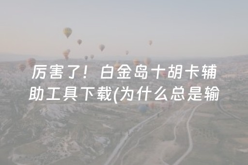 厉害了！白金岛十胡卡辅助工具下载(为什么总是输)