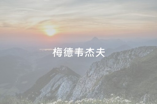 梅德韦杰夫（梅德韦杰夫几个大满贯）