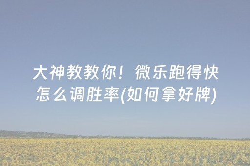 大神教教你！微乐跑得快怎么调胜率(如何拿好牌)