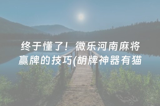 终于发现了“怎样能查出麻将机是否装有程序（助赢神器通用版）