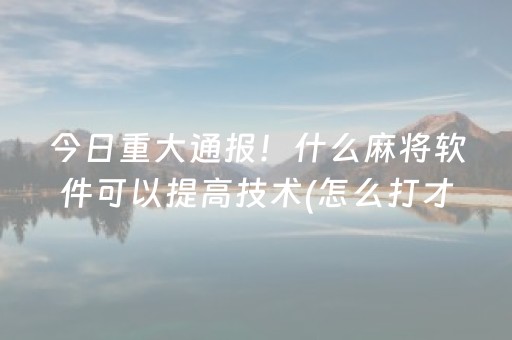 玩家实测“2024年飞针麻将最新科技（专用辅牌神器免安装）