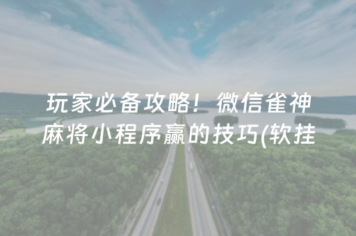 玩家必备教程“微乐陕西挖坑专用神器（助赢神器通用版）