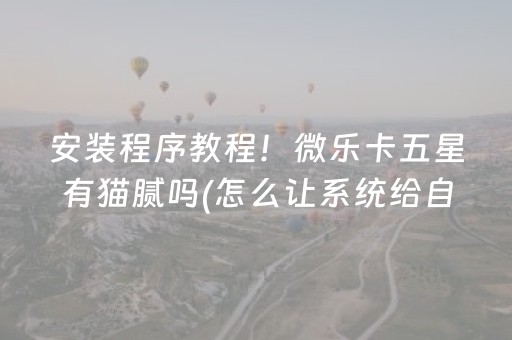 安装程序教程！微乐卡五星有猫腻吗(怎么让系统给自己好牌)