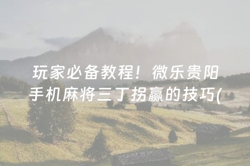 玩家必备教程！微乐贵阳手机麻将三丁拐赢的技巧(有挂技巧辅助器)