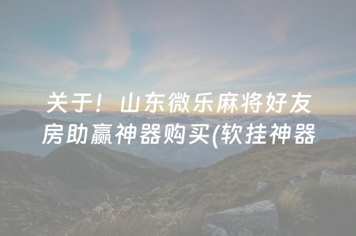 关于！山东微乐麻将好友房助赢神器购买(软挂神器)