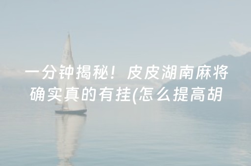 一分钟揭秘！皮皮湖南麻将确实真的有挂(怎么提高胡牌率)