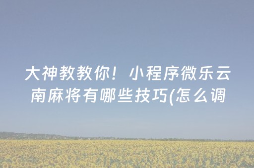 大神教教你！小程序微乐云南麻将有哪些技巧(怎么调整胜率)