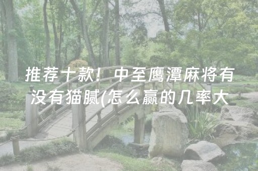 推荐十款！中至鹰潭麻将有没有猫腻(怎么赢的几率大)