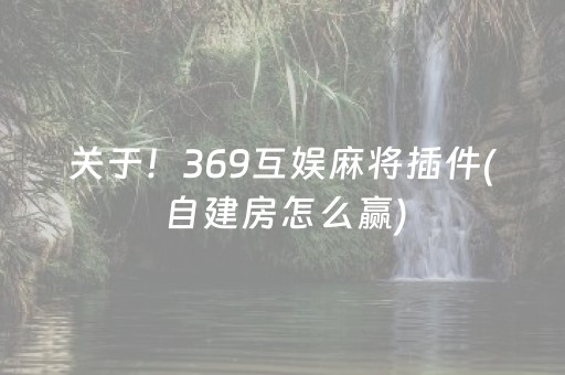 关于！369互娱麻将插件(自建房怎么赢)