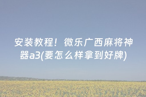 今日实测“手机麻将挂件”（详细辅助教程）-哔哩哔哩