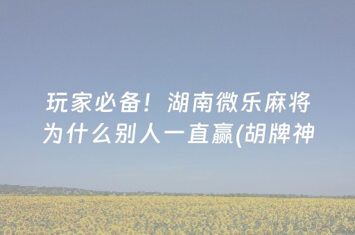 玩家必备！湖南微乐麻将为什么别人一直赢(胡牌神器有猫腻吗)