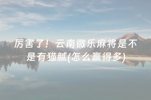 终于发现“开心十三张怎么拿好牌（助赢神器通用版）