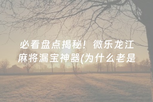 实测辅助“微乐湖北麻将怎么提高胜率（助赢神器通用版）