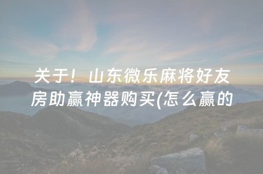 关于！山东微乐麻将好友房助赢神器购买(怎么赢的几率大)