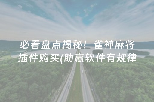 必看盘点揭秘！雀神麻将插件购买(助赢软件有规律吗)