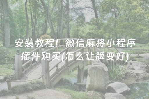 安装教程！微信麻将小程序插件购买(怎么让牌变好)