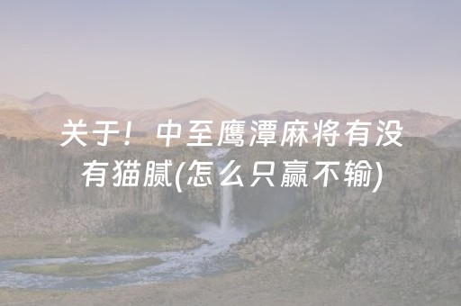 关于！中至鹰潭麻将有没有猫腻(怎么只赢不输)