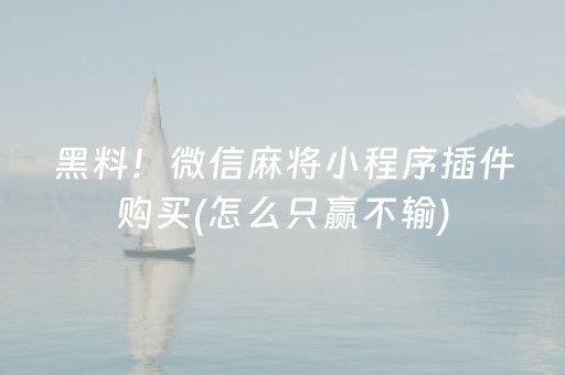 黑料！微信麻将小程序插件购买(怎么只赢不输)