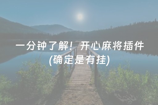 一分钟了解！开心麻将插件(确定是有挂)