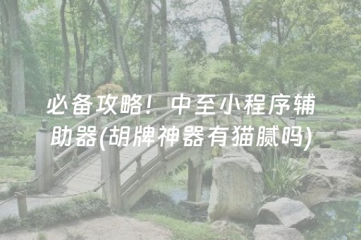 必备攻略！中至小程序辅助器(胡牌神器有猫腻吗)