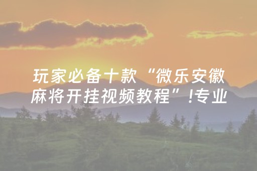 终于发现了“微乐江西麻将软挂神器”（详细透视教程）-哔哩哔哩