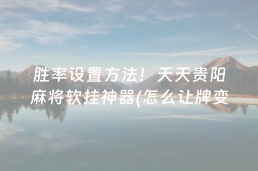 胜率设置方法！天天贵阳麻将软挂神器(怎么让牌变好)