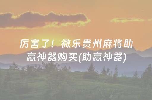厉害了！微乐贵州麻将助赢神器购买(助赢神器)