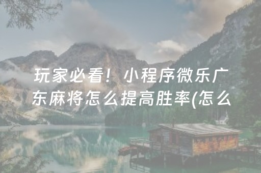 玩家必看！小程序微乐广东麻将怎么提高胜率(怎么提高赢牌率)