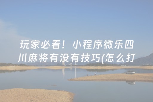 玩家必看！小程序微乐四川麻将有没有技巧(怎么打赢的几率大)