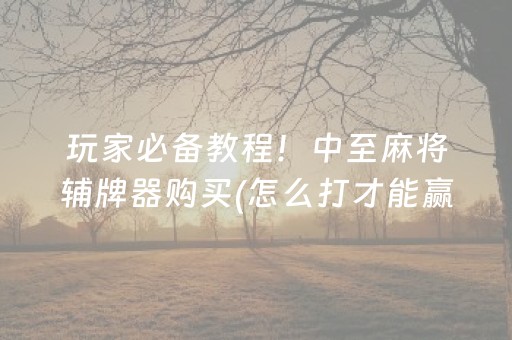 玩家必备教程！中至麻将辅牌器购买(怎么打才能赢)