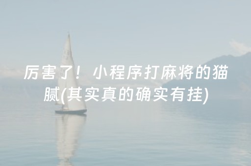 厉害了！小程序打麻将的猫腻(其实真的确实有挂)