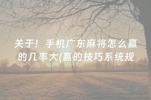 玩家实测“微乐河北麻将亲友房怎么拿到好牌（专用辅牌神器免安装）