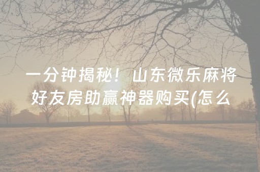 一分钟揭秘！山东微乐麻将好友房助赢神器购买(怎么让系统给好牌)