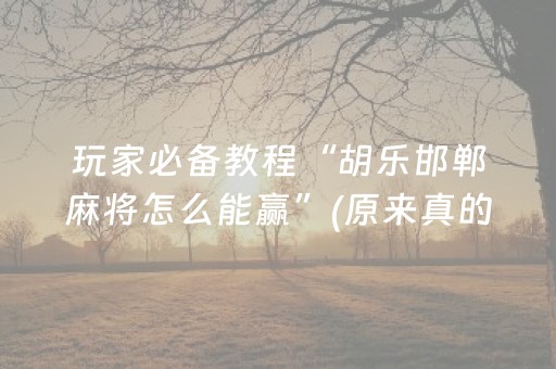 玩家必备教程“胡乐邯郸麻将怎么能赢”(原来真的有挂)-抖音