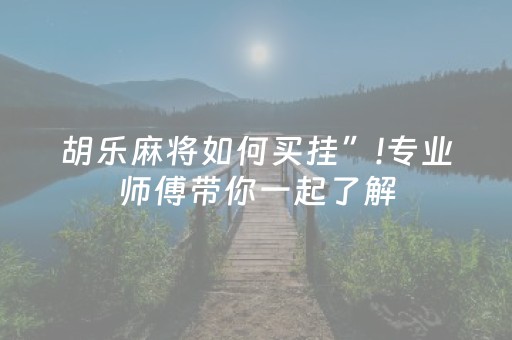 胡乐麻将如何买挂”!专业师傅带你一起了解（详细教程）-抖音