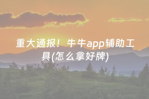 重大通报！牛牛app辅助工具(怎么拿好牌)