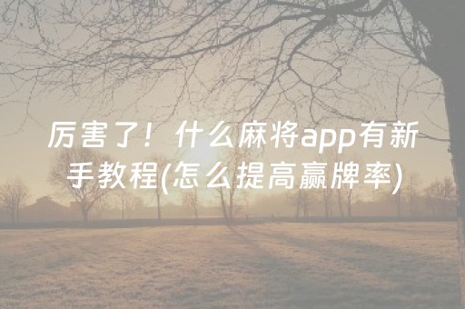厉害了！什么麻将app有新手教程(怎么提高赢牌率)