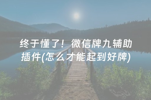 终于懂了！微信牌九辅助插件(怎么才能起到好牌)