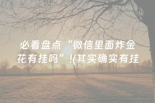 必看盘点“微信里面炸金花有挂吗”!(其实确实有挂)-抖音