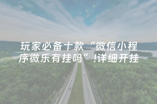 玩家必备十款“微信小程序微乐有挂吗”!详细开挂教程-抖音