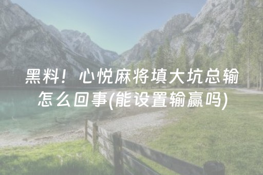 玩家必备教程“手机十三水提升好牌率（专用辅牌神器免安装）
