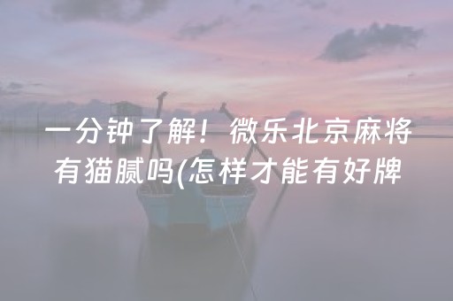 一分钟了解！微乐北京麻将有猫腻吗(怎样才能有好牌)