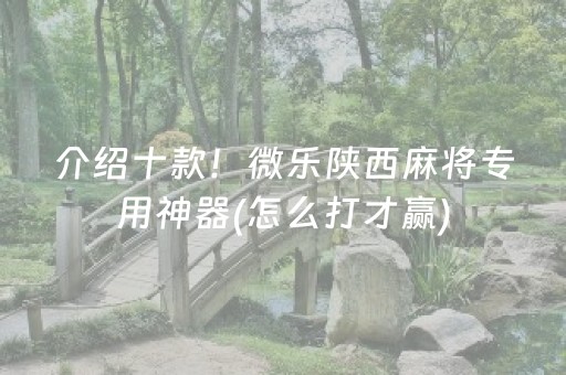 介绍十款！微乐陕西麻将专用神器(怎么打才赢)